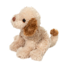 Load image into Gallery viewer, Biscuit Cavapoo