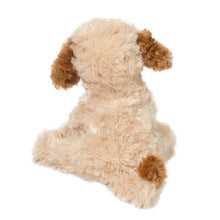 Load image into Gallery viewer, Biscuit Cavapoo