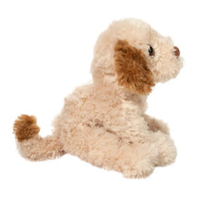 Load image into Gallery viewer, Biscuit Cavapoo