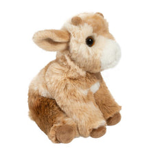 Load image into Gallery viewer, Mini Dandie Soft Goat