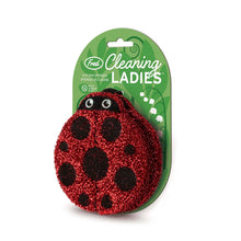 Load image into Gallery viewer, Cleaning Ladies Sponges