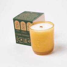 Load image into Gallery viewer, Milkjar - Garden State - Cedar & Cassis Coconut Soy 8oz Candle