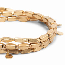 Load image into Gallery viewer, Scout - Metal Wrap - Iconic/Disc/Gold