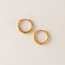Load image into Gallery viewer, Lover's Tempo - Brit Hoop Earrings