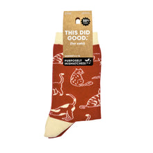 Load image into Gallery viewer, Friday Sock Co. - Women's Cats TDG Socks