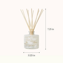 Load image into Gallery viewer, Thymes - Frasier Fir Tidings Petite Reed Diffuser