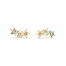 Load image into Gallery viewer, Lover's Tempo - Floral Climber Earrings
