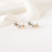 Load image into Gallery viewer, Lover's Tempo - Floral Climber Earrings