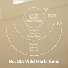 Load image into Gallery viewer, P.F. Candle Co - Wild Herb Tonic Reed Diffuser