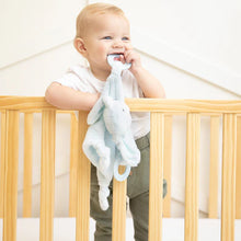 Load image into Gallery viewer, Teether Buddy Danny the Dog