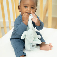 Load image into Gallery viewer, Teether Buddy Danny the Dog