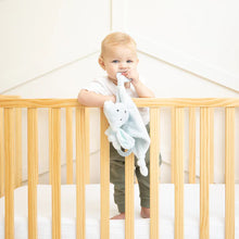 Load image into Gallery viewer, Teether Buddy Danny the Dog