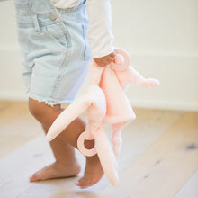 Load image into Gallery viewer, Teether Buddy Betty the Bunny