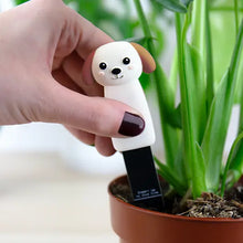 Load image into Gallery viewer, Plant Pot Moisture Meter – Dog Edition