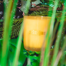 Load image into Gallery viewer, Milkjar - Garden State - Cedar & Cassis Coconut Soy 8oz Candle