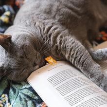 Load image into Gallery viewer, Tale End Bookmarks