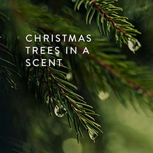 Load image into Gallery viewer, Thymes - Frasier Fir Diffuser Oil