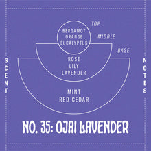 Load image into Gallery viewer, P.F. Candle Co - Ojai Lavender Reed Diffuser