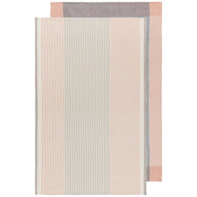 Load image into Gallery viewer, Nectar Array Stripe Dishtowel Set of 2