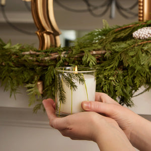 Thymes - Frasier Fir Pine Needle Candle 6.5oz