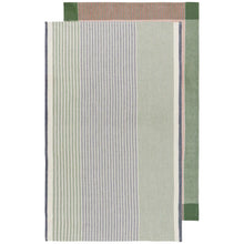 Load image into Gallery viewer, Jade Array Stripe Dishtowel Set of 2