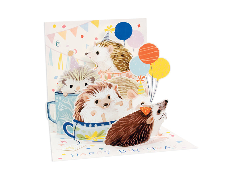 Hedgehog Pop-Up Greeting Card