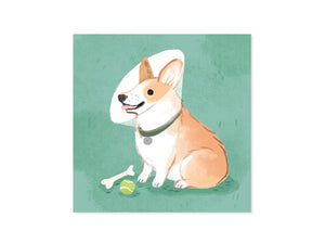 Get Well Dogs Pop-Up Greeting Card