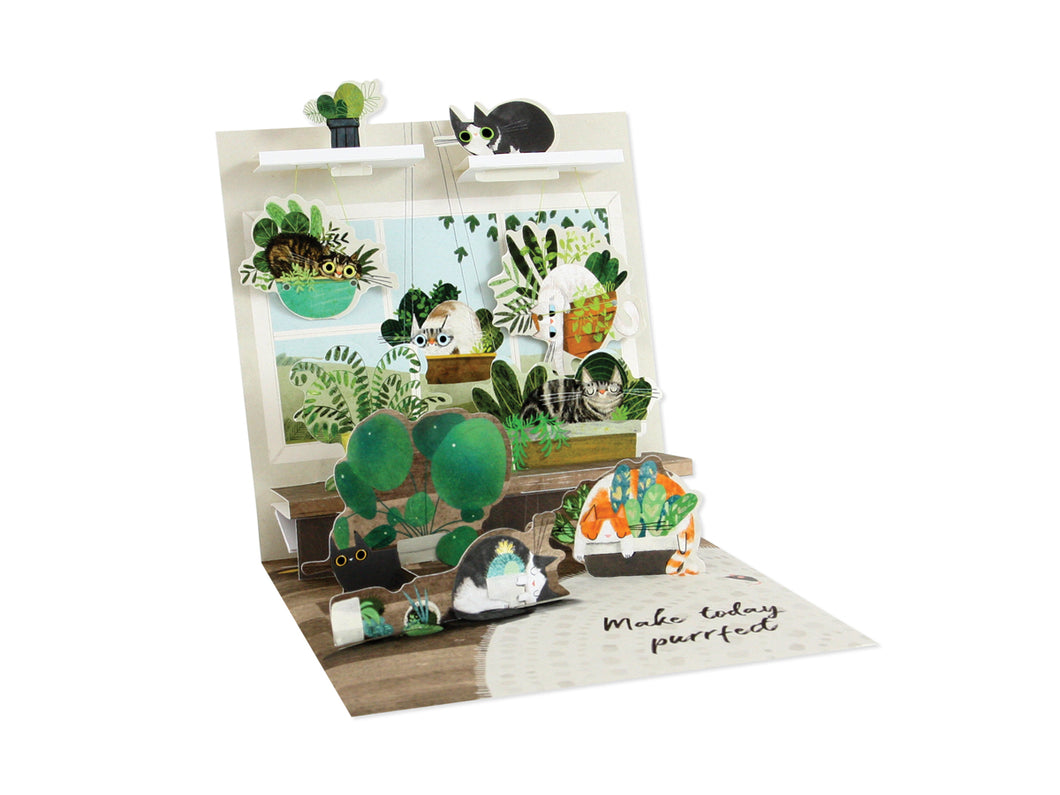 Cats In Plants Pop-Up Greeting Card