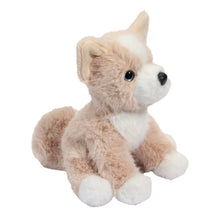 Load image into Gallery viewer, Mini Pookie Pomsky Soft
