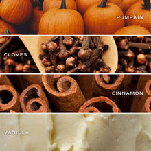 Load image into Gallery viewer, Sweet Water Decor - Pumpkin Spice Reed Diffuser
