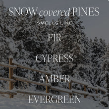 Load image into Gallery viewer, Sweet Water Decor - Snow Covered Pines Soy Candle Matte Green Jar 15oz
