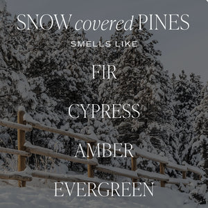 Sweet Water Decor - Snow Covered Pines Soy Candle Matte Green Jar 15oz