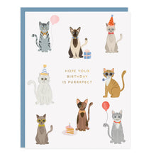 Load image into Gallery viewer, Party Cats Card

