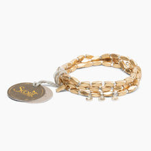 Load image into Gallery viewer, Scout - Metal Wrap - Iconic/Disc/Gold &amp; Silver
