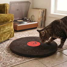 Load image into Gallery viewer, Kiko Cat Record Scratcher
