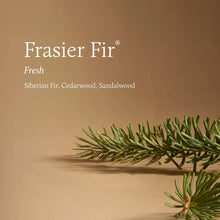 Load image into Gallery viewer, Thymes - Frasier Fir Tidings Petite Reed Diffuser
