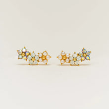 Load image into Gallery viewer, Lover's Tempo - Floral Climber Earrings
