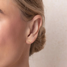 Load image into Gallery viewer, Scout - Jewelry Dish &amp; Stud Earring Set - Dragonfly/Terracotta
