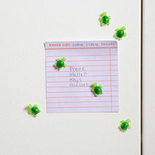 Load image into Gallery viewer, Baby Turtle Magnets
