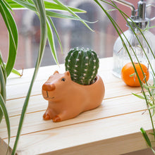 Load image into Gallery viewer, Cappy the Capybara Planter Small

