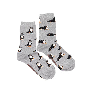 Friday Sock Co. - Women's Bernese Mountain Dog Socks