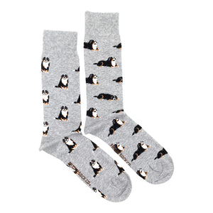 Friday Sock Co. - Men's Bernese Mountain Dog Socks