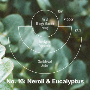P.F. Candle Co - Neroli & Eucalyptus 7.2oz