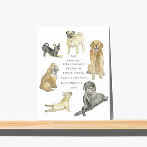 Dog Cure - Dog Card