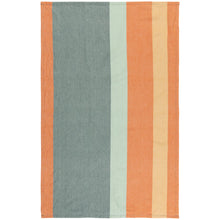 Load image into Gallery viewer, Disco Formation Dishtowels Set of 2
