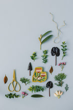 Load image into Gallery viewer, Venus Trinket Tray
