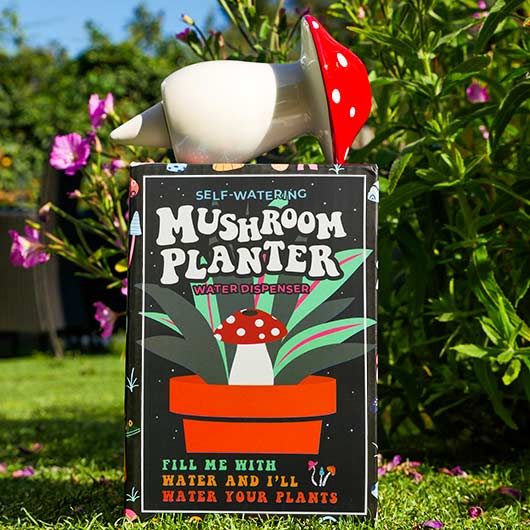 Mushroom Self Watering Plant Dispenser