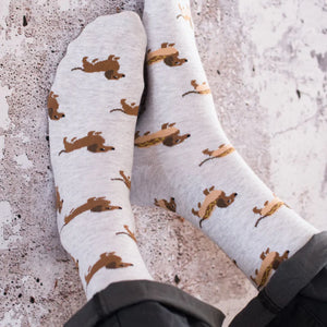 Friday Sock Co. - Men's Wiener Dog Hot Dog Socks