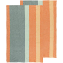 Load image into Gallery viewer, Disco Formation Dishtowels Set of 2
