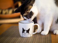Load image into Gallery viewer, Peering Cat Mug
